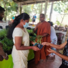 Distributing plants for gardens in conjunction with the 2022 Samurdhi National Cultivation Operation / Homagama (Kiriwatthuduwa North Division) (2022-09-10)
